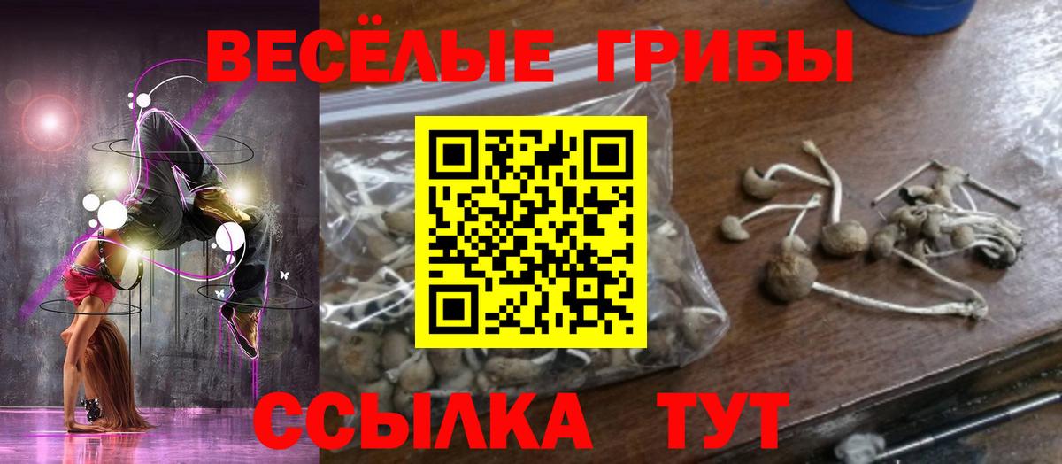 Псилоцибиновые грибы GOLDEN TEACHER  Вход с VPN  Псилоцибиновые грибы Psilocybe  Красногорск 